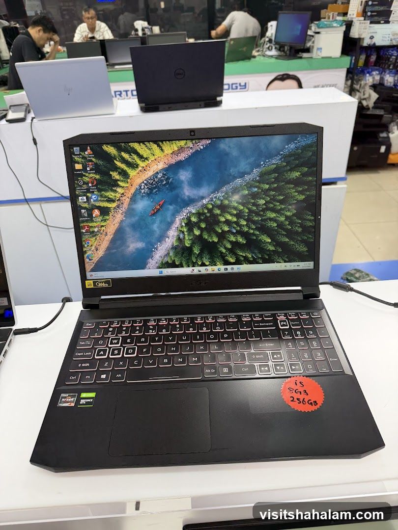 Laptop Display