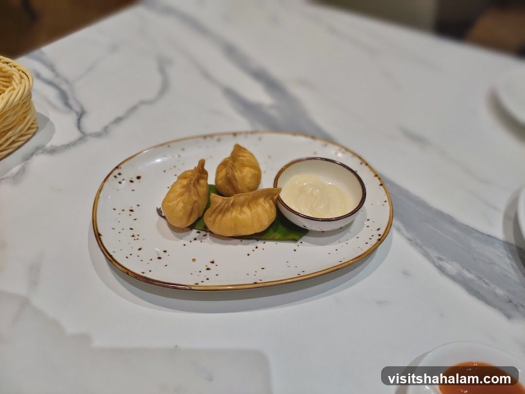 Fried Dumplings with Dip