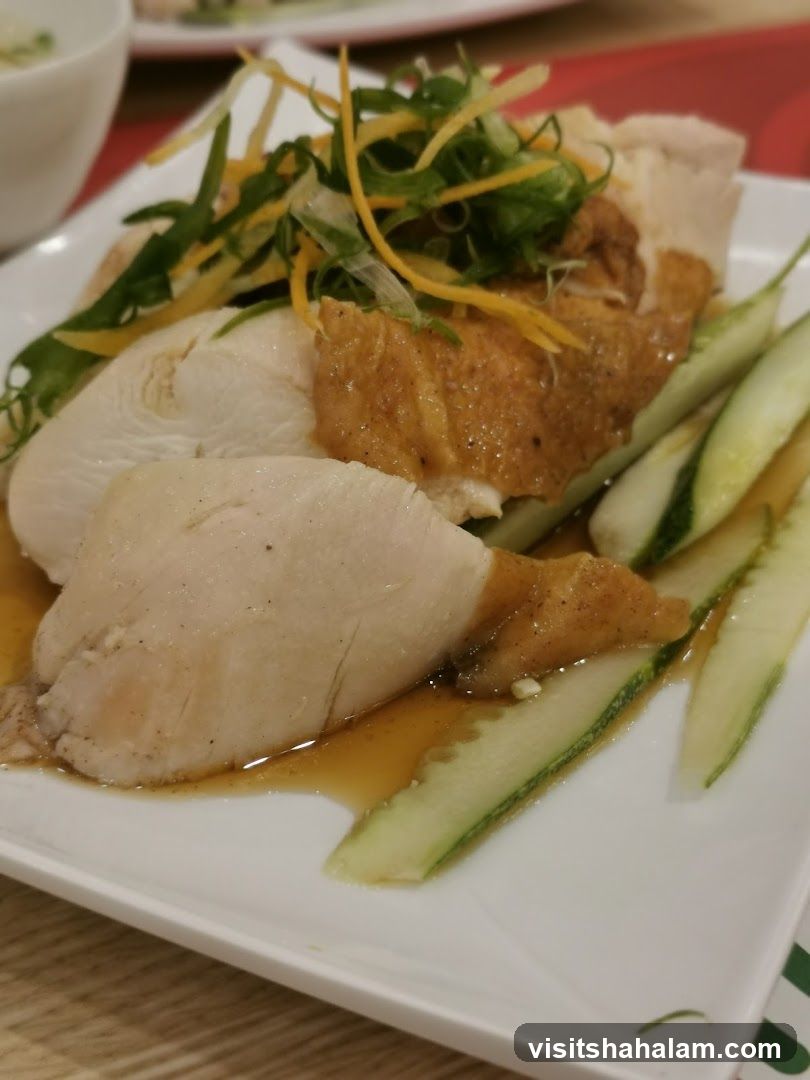 Chicken Dish with Cucumber and Garnish