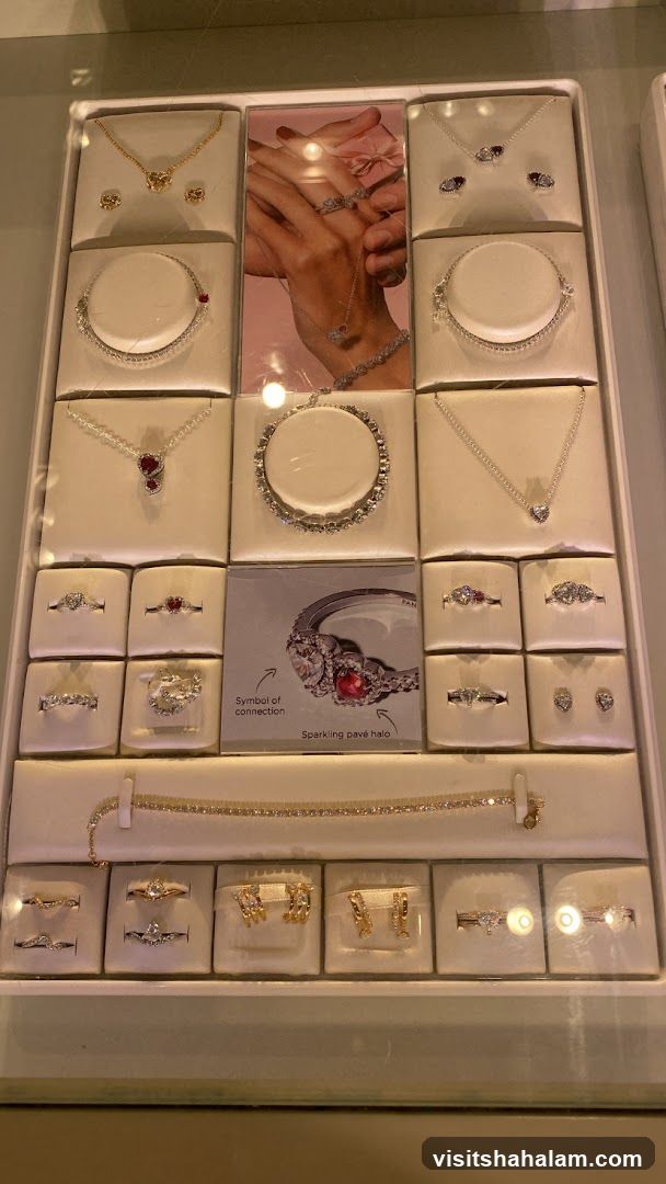 Jewelry Display