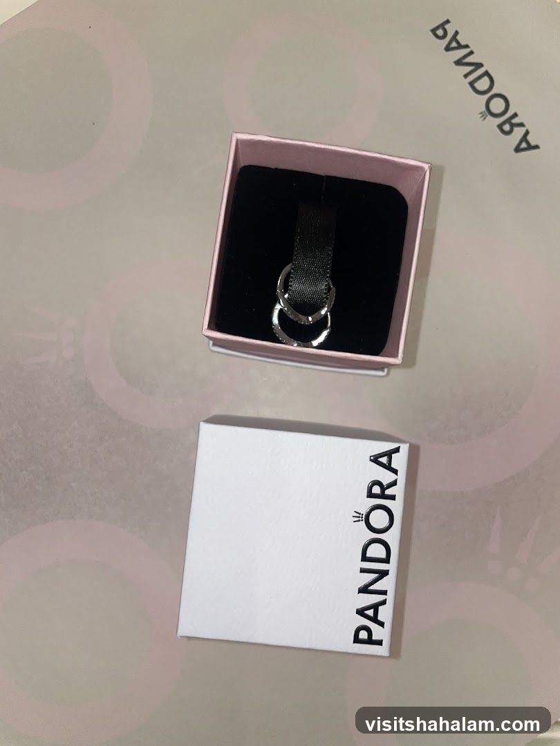 Pandora Earrings in Box