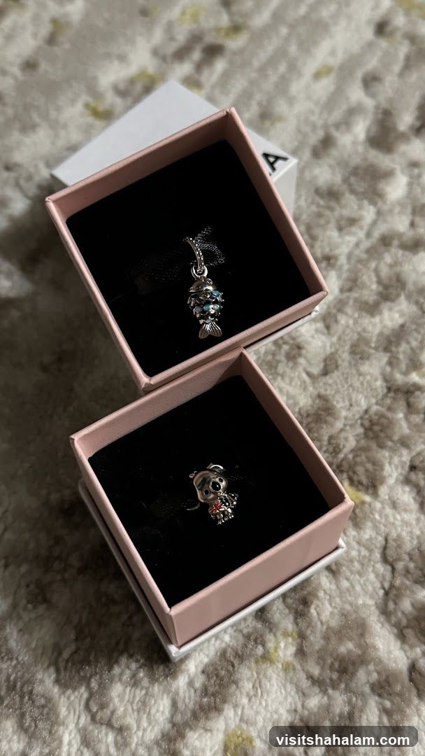Pandora Charms