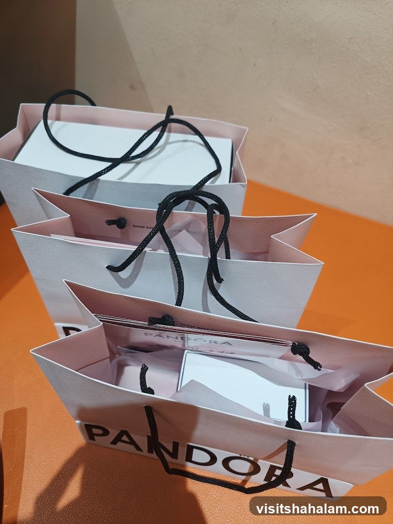 Pandora Shopping Bags