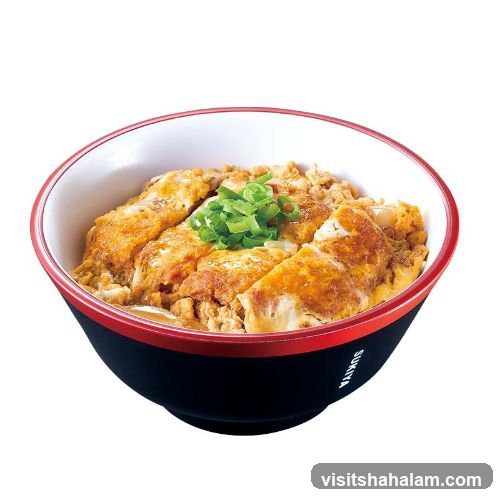 Katsudon