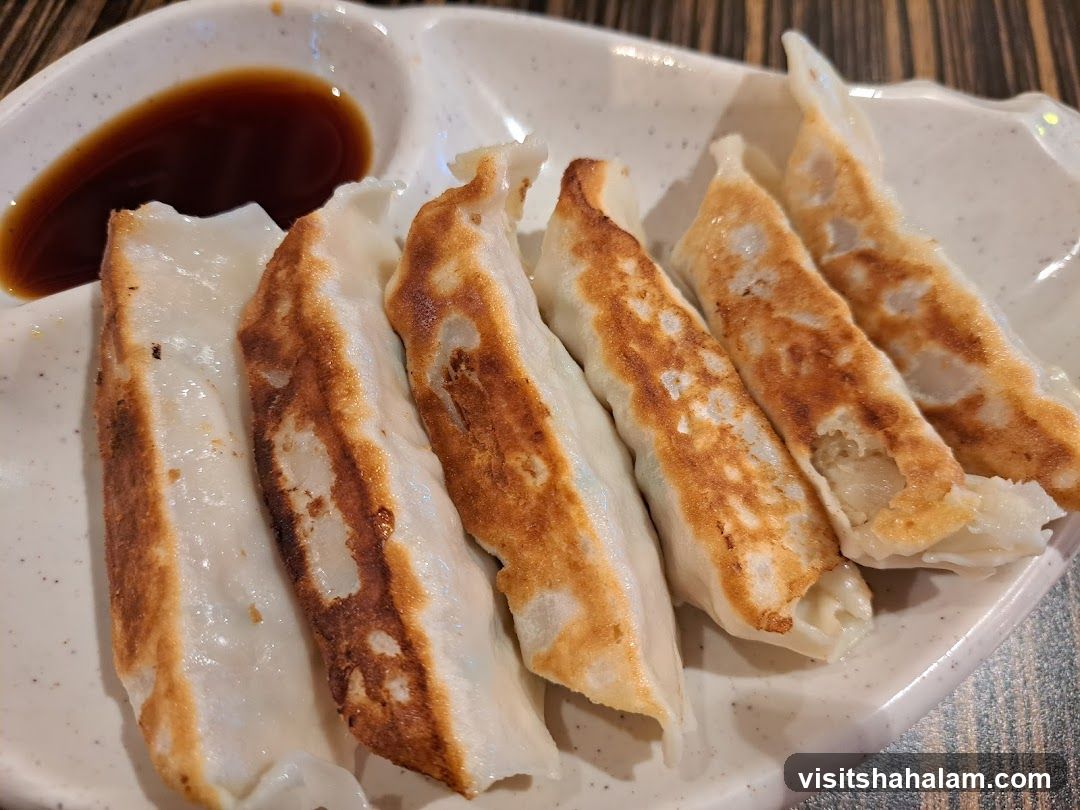 Pan-Fried Dumplings