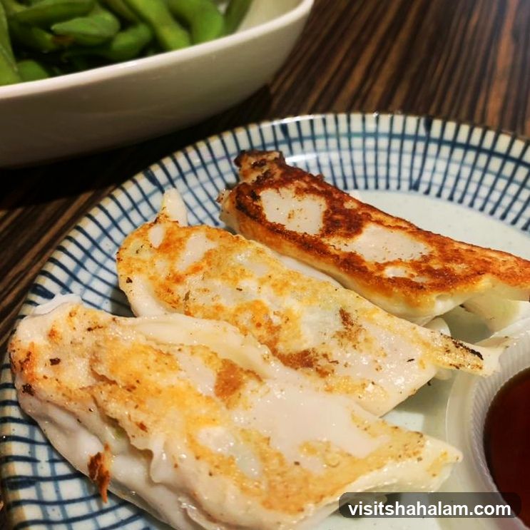 Pan-fried dumplings and edamame