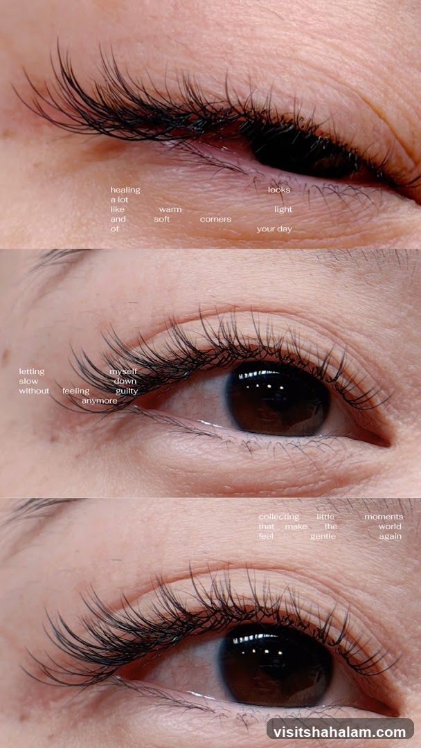 TD Lashes & Beauty House