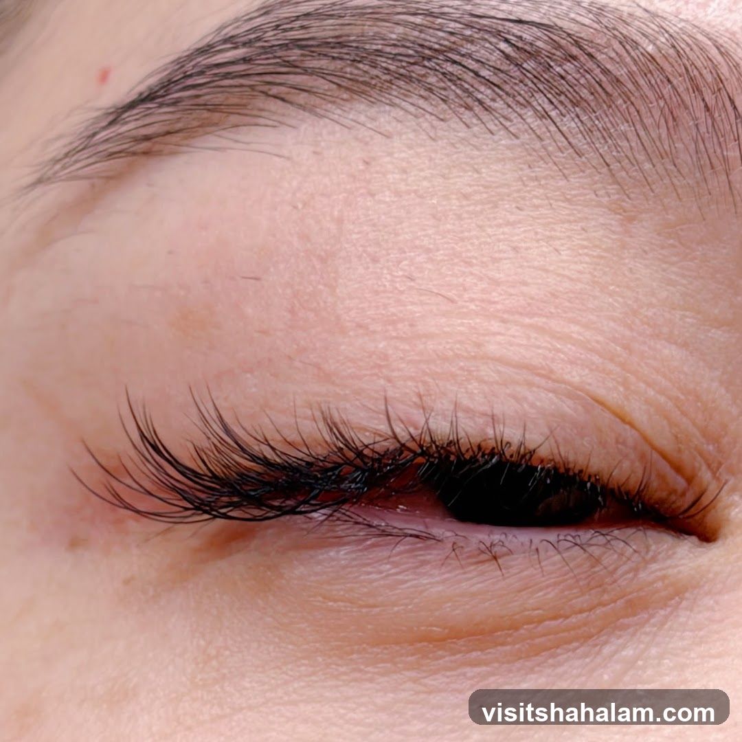 Close-up of an Eye with Eyelash Extensions