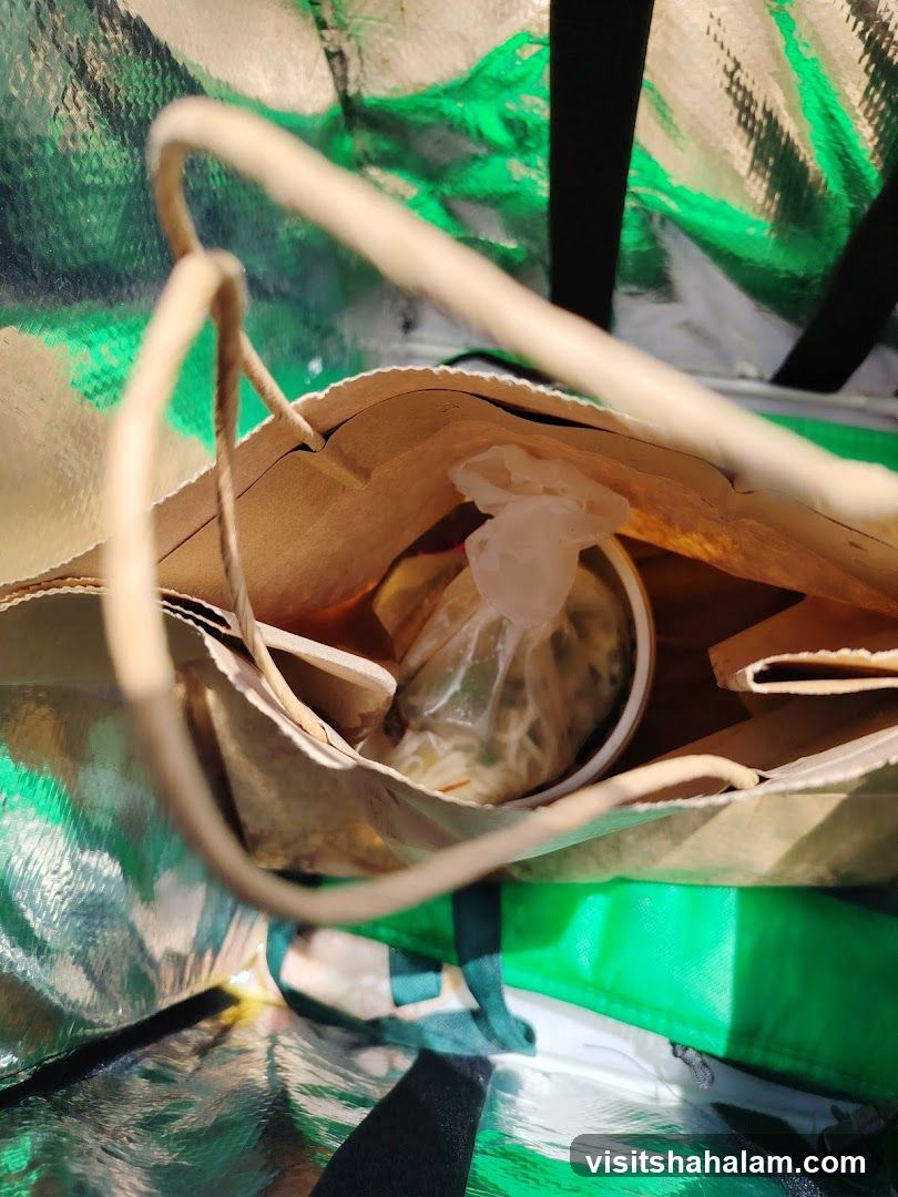 Food Delivery Bag