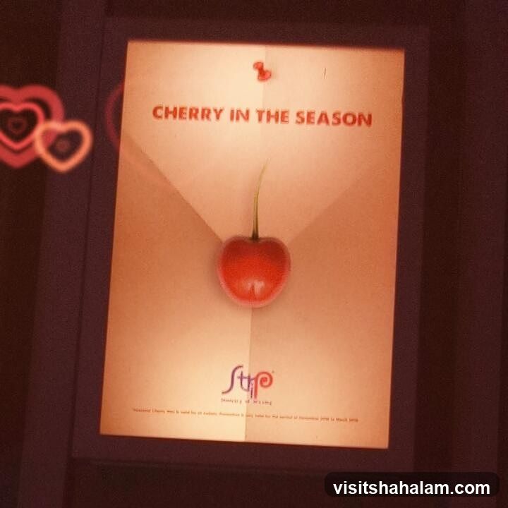Cherry in Season Advertisement