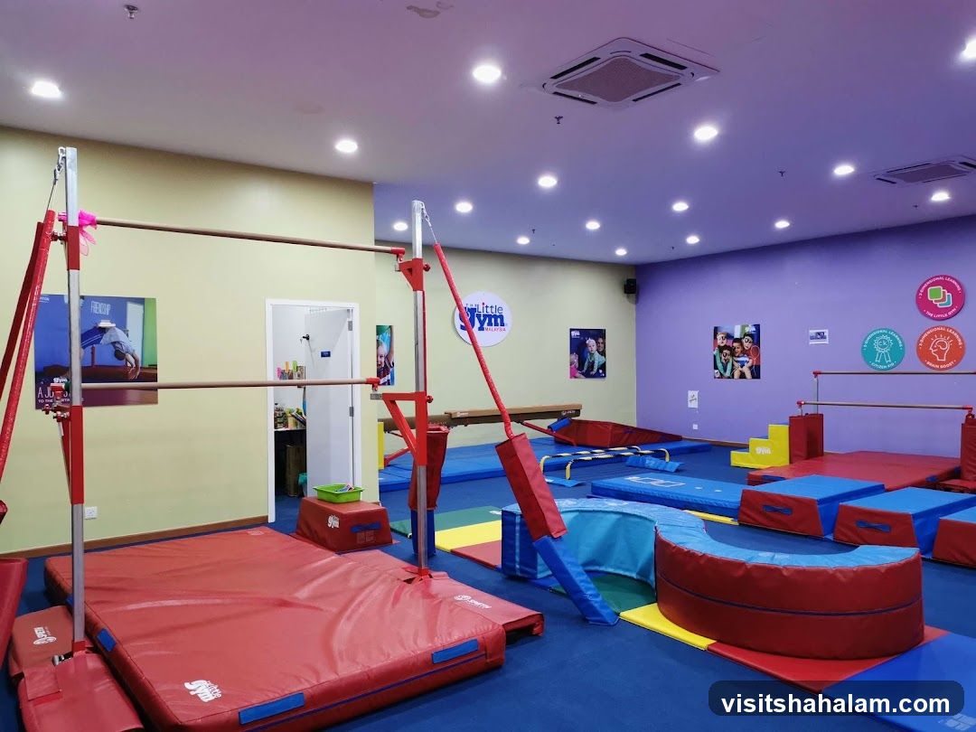 The Little Gym