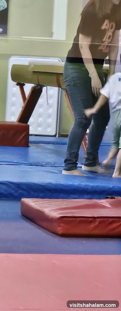 Gymnastics Class