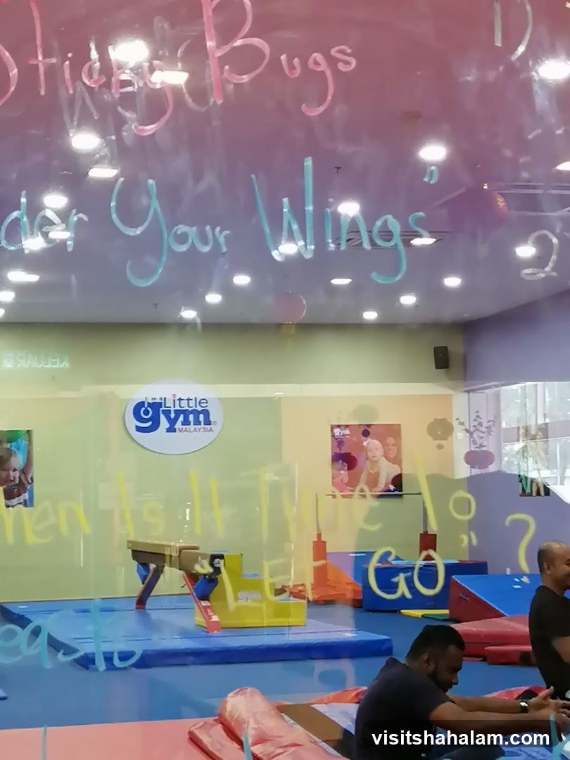 The Little Gym
