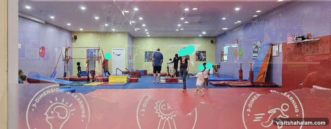 Gymnastics Class
