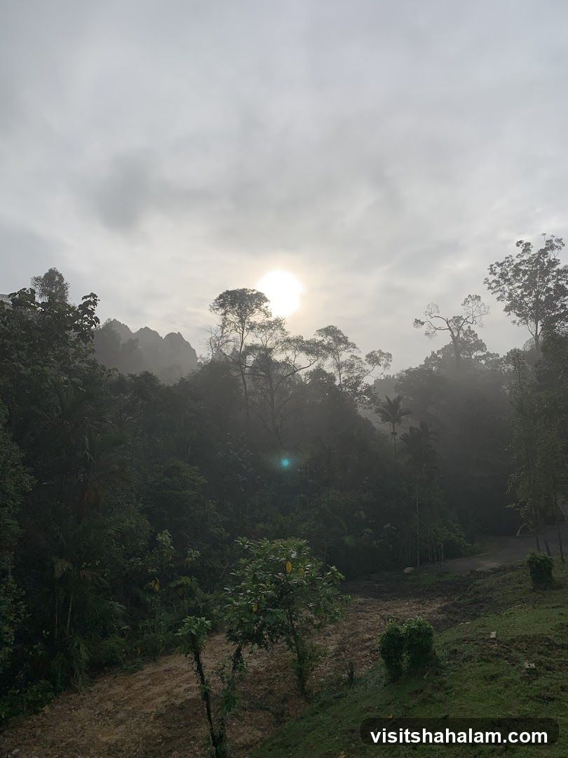 Taman Pertanian
