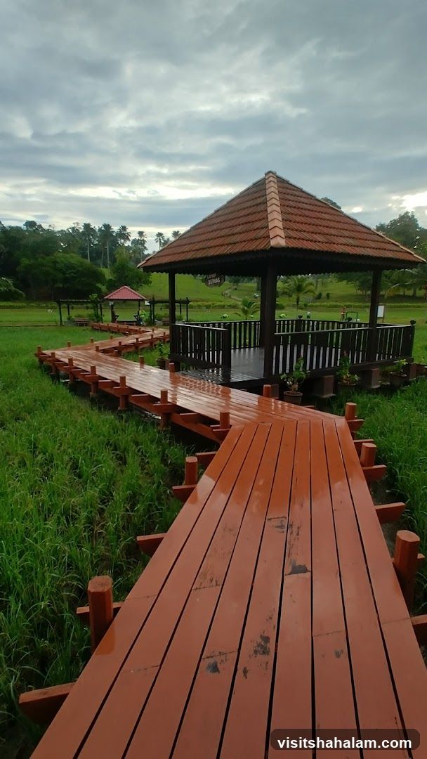 Wooden Boardwalk and Gazebo in a Grassy Field