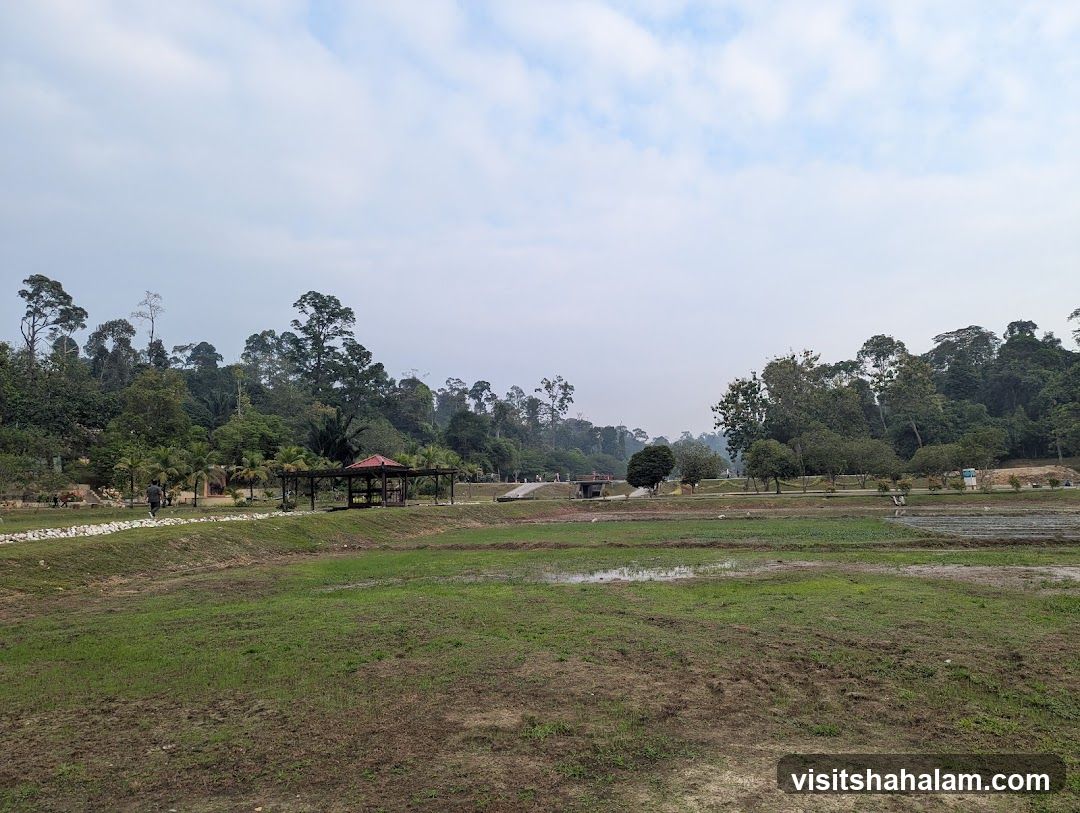 Park with Lush Greenery and Gazebo