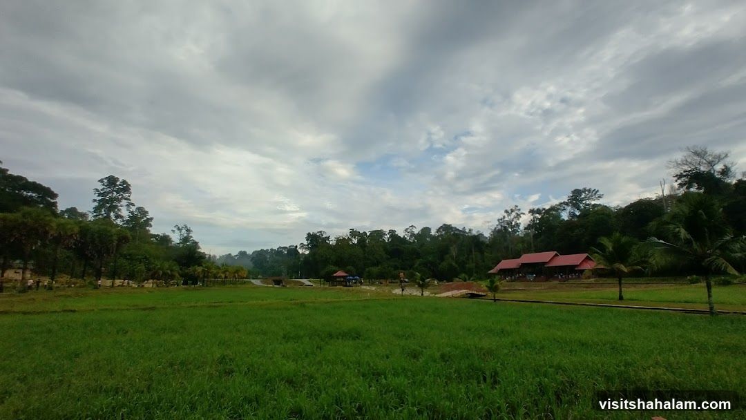 Rural Landscape with Buildings