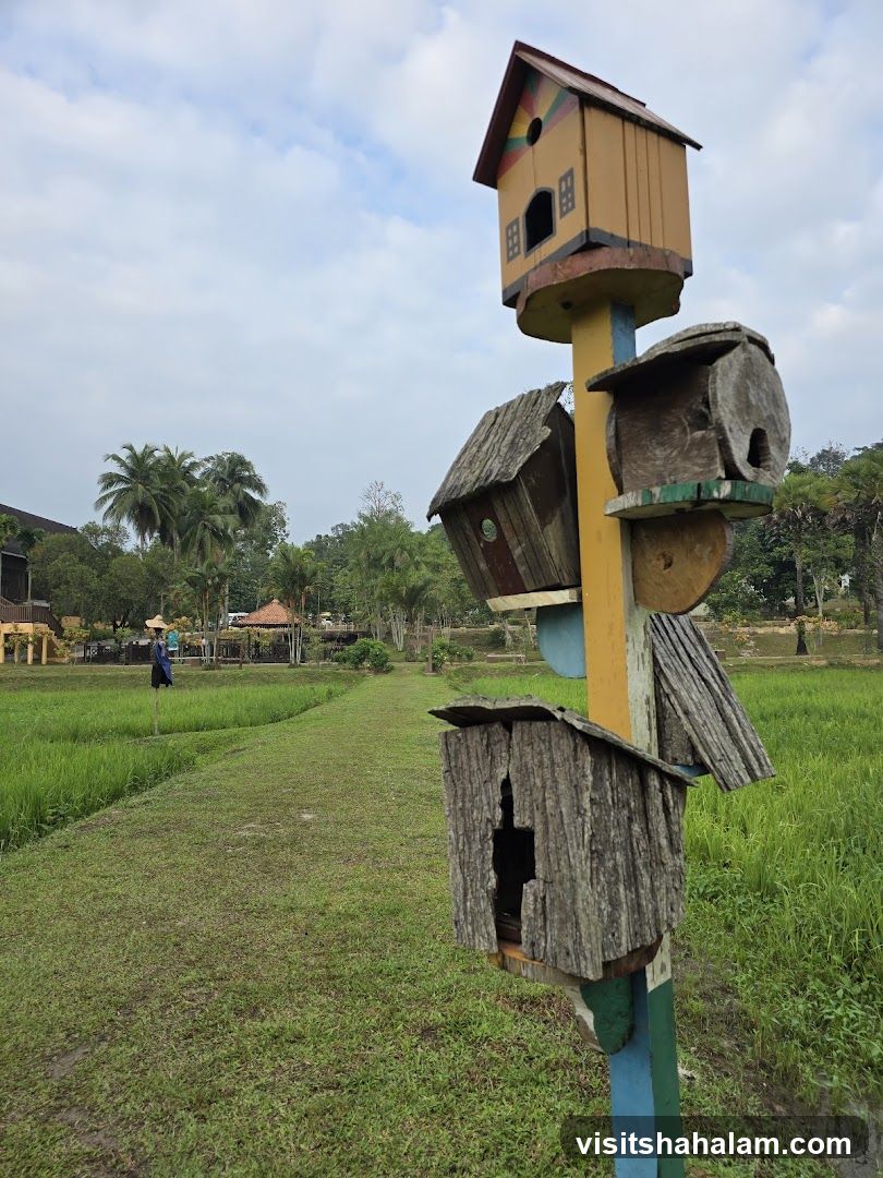 Birdhouses on a pole