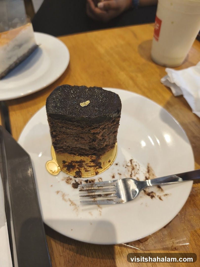 Chocolate Cake Slice