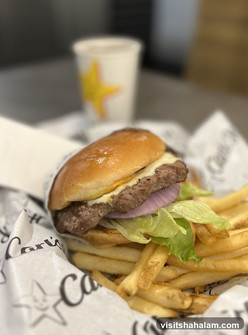 Burger and Fries
