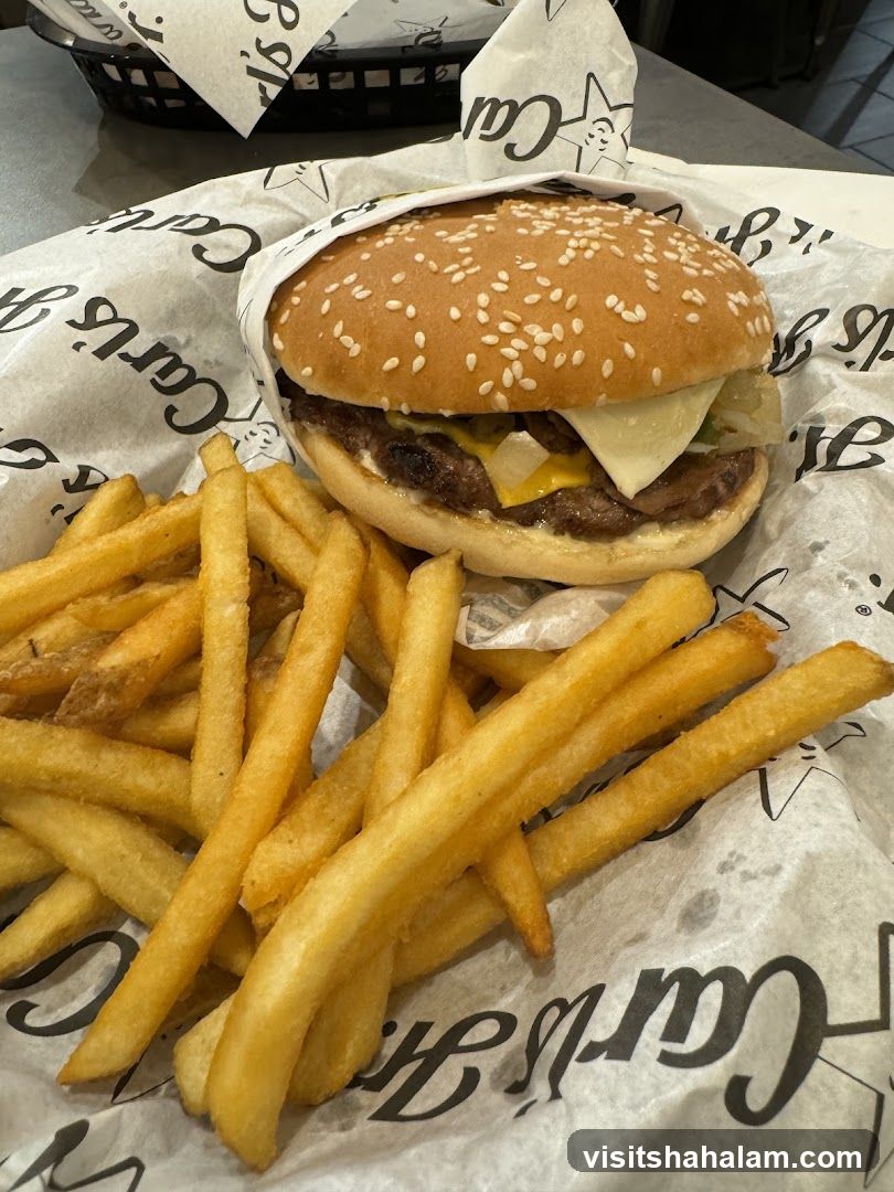 Burger and Fries