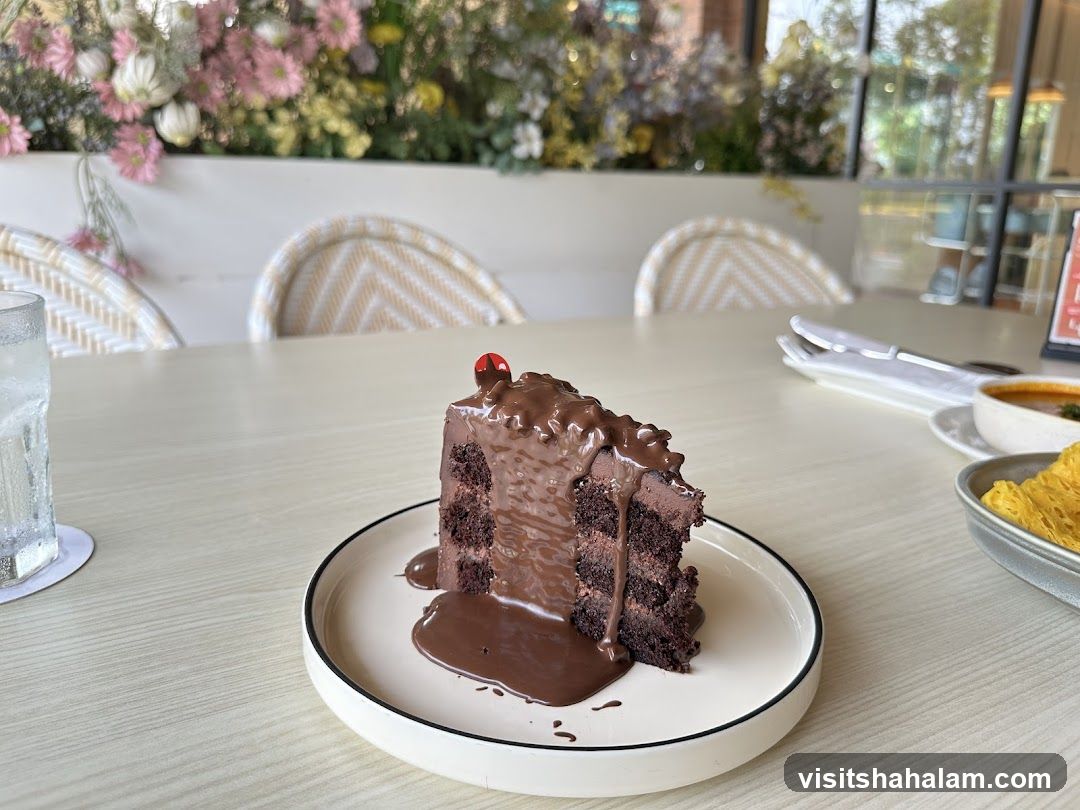 Chocolate Cake Slice