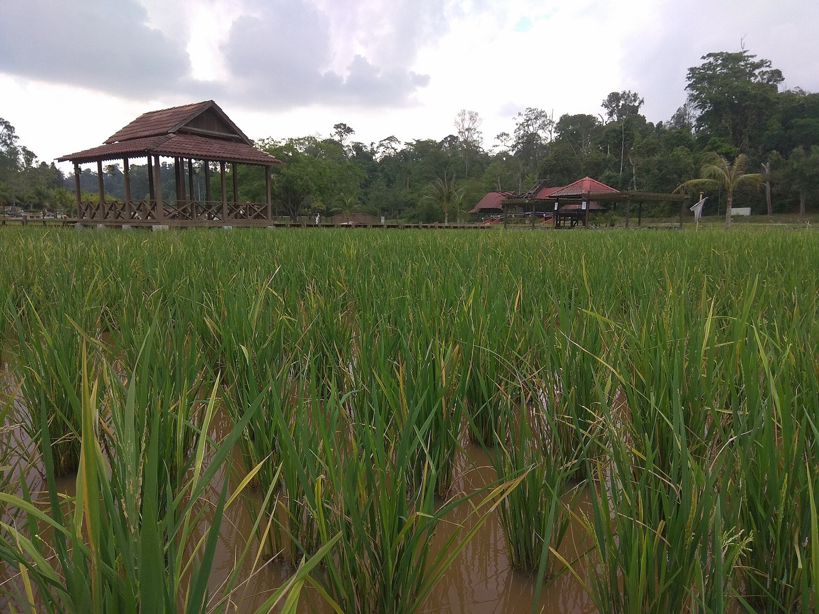 Taman Botani Negara Shah Alam